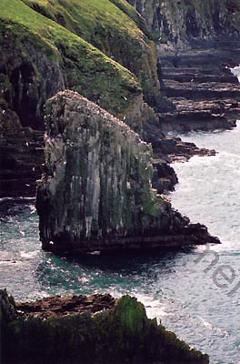 6_ireland landscape stock photo copyright colin palmer