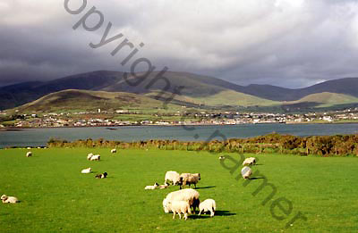 7_ireland landscape stock photo copyright colin palmer